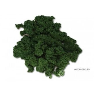 Keranova 601025 - Musgo Verde 25 Gr