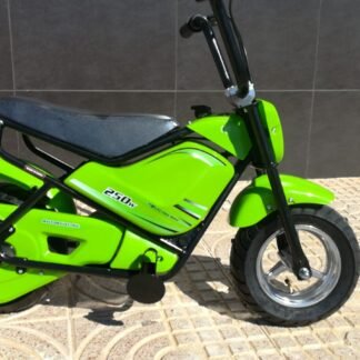 MOTO ELECTRICA 24V - 250W 24V VERDE - SE-T250DH-2OR