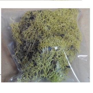 Bolsa de musgo y ramaje para decoración maquetas. CUIT 3943. Bolsa 12 gramos