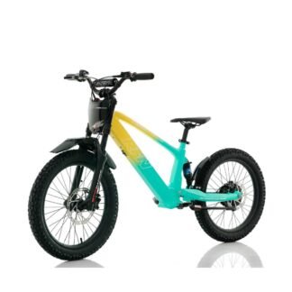 VENTA Bicicleta electrica sin pedales 750W 20" RXF Evo Racing, VERDE - INDA1142-RO-5125