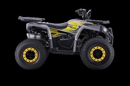 Quad para niños BN-Motors WARRIOR Amarillo - 125cc - INDA1199-BN-WARRIOR - Imagen 3
